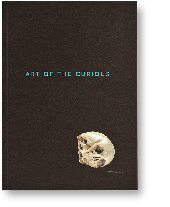 Sonderpublikation - Art Of The Curious